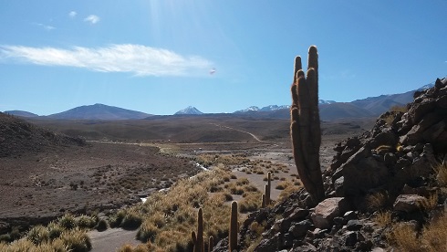 Chile Desert