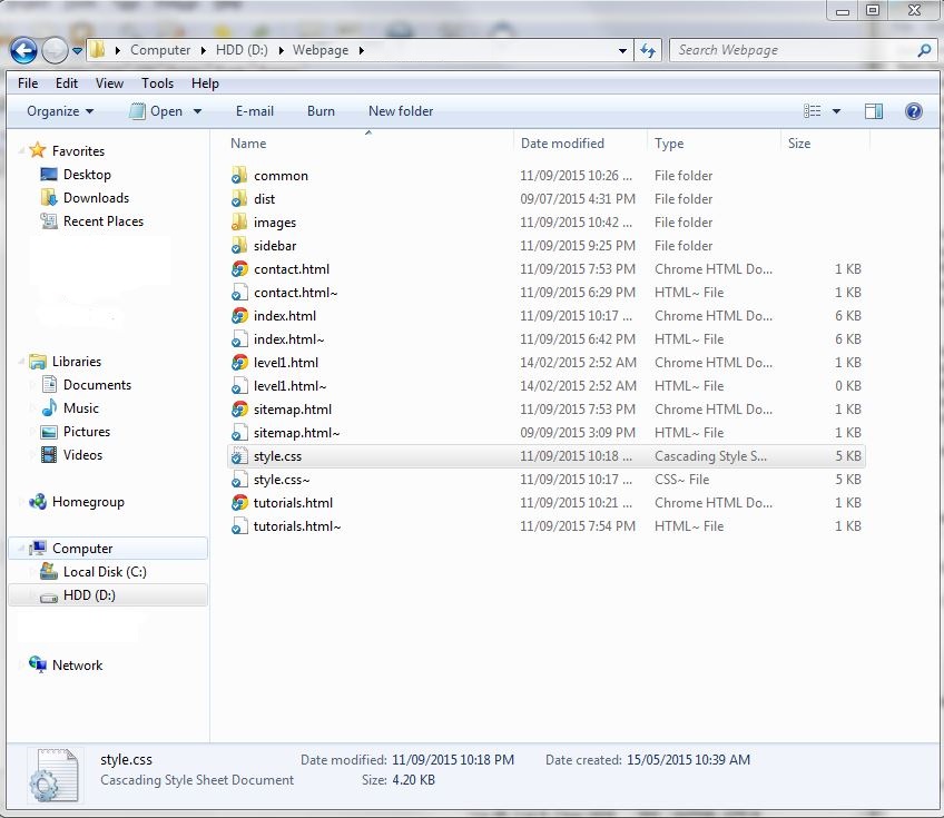 The website files